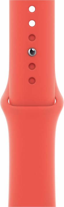 Immagine prodotto Apple Banda sportiva regolare (44 mm, Fluoroelastomero, Apple Watch Serie 4, Apple Watch Serie 5, Apple Watch Serie 6, Apple Watch SE)