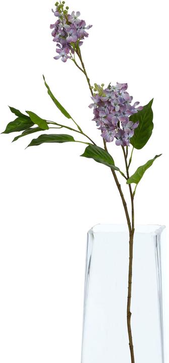 Image du produit Hill Interiors - Fleur artificielle THE NATURAL GARDEN COLLECTION (75 cm)