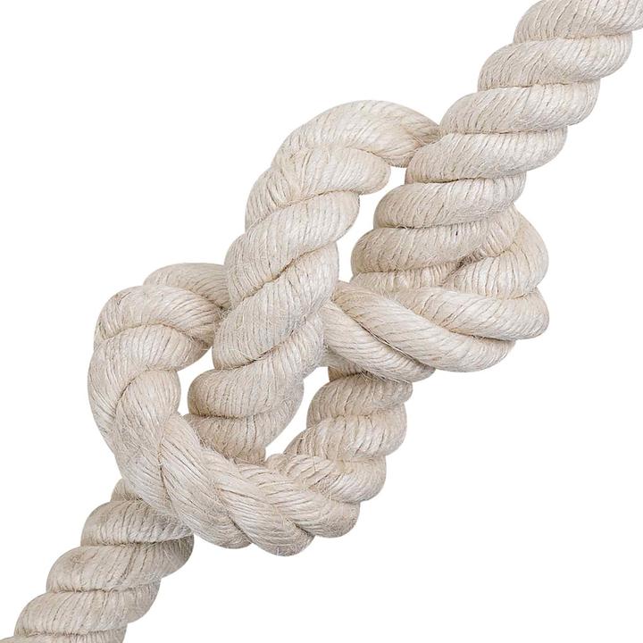 Image du produit vidaXL Natürliches Seil (25 m)