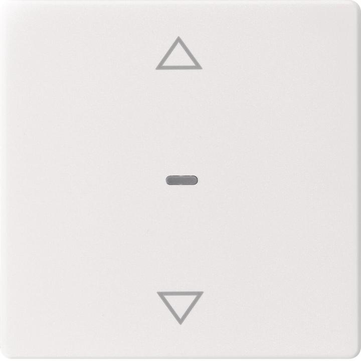 Actual product image Berker 80961229