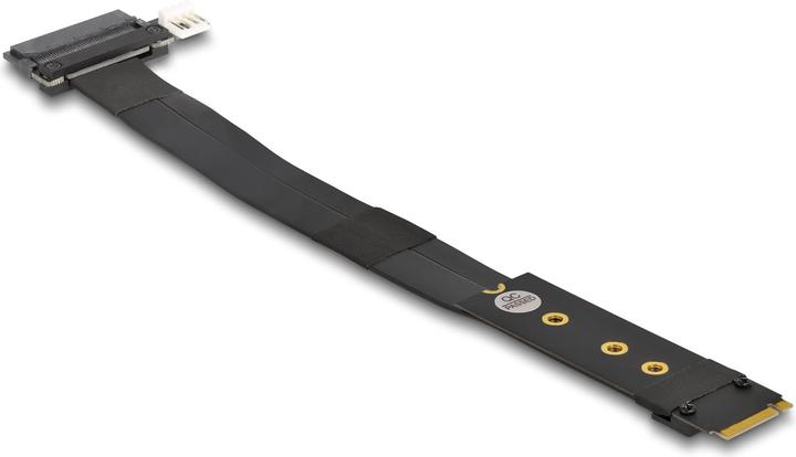 Actual product image Delock M.2 Key M to U.2 SFF-8639 NVMe Adapter with 20 cm cable