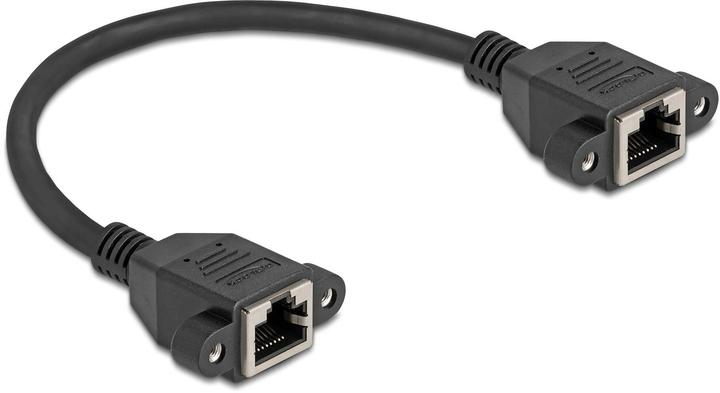 Image du produit Delock Netzwerk Verlängerungskabel S/FTP RJ45 Buchse zu RJ45 (S/FTP, CAT6a, 0.25 m)