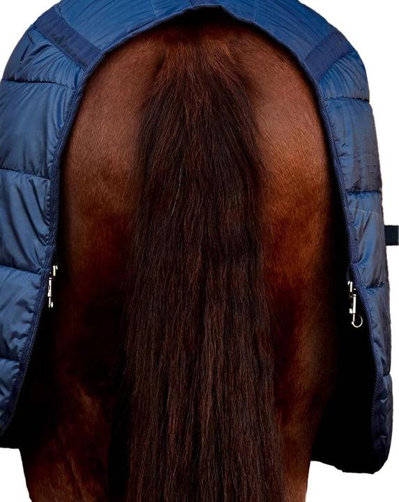 Actual product image Weatherbeeta Standard-Neck 200g Horse Under Rug (122 cm)