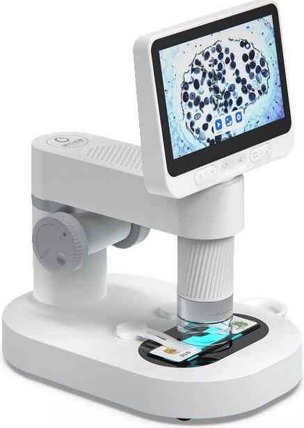 BeaverLab Darwin M2A