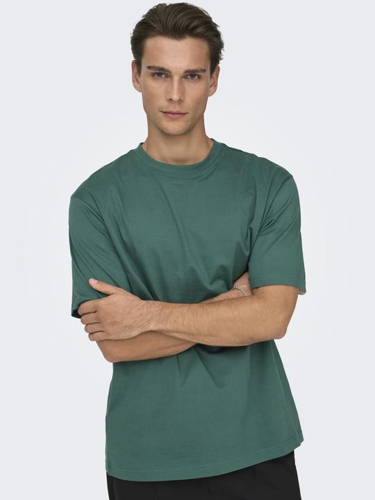 Immagine prodotto Only & Sons Onsfred Life Rlx Ss Tee Noos (M)