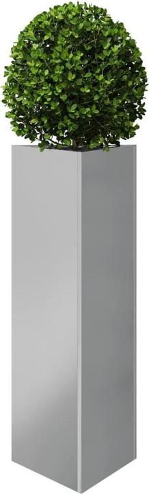 Produktbild vidaXL Pflanzkübel