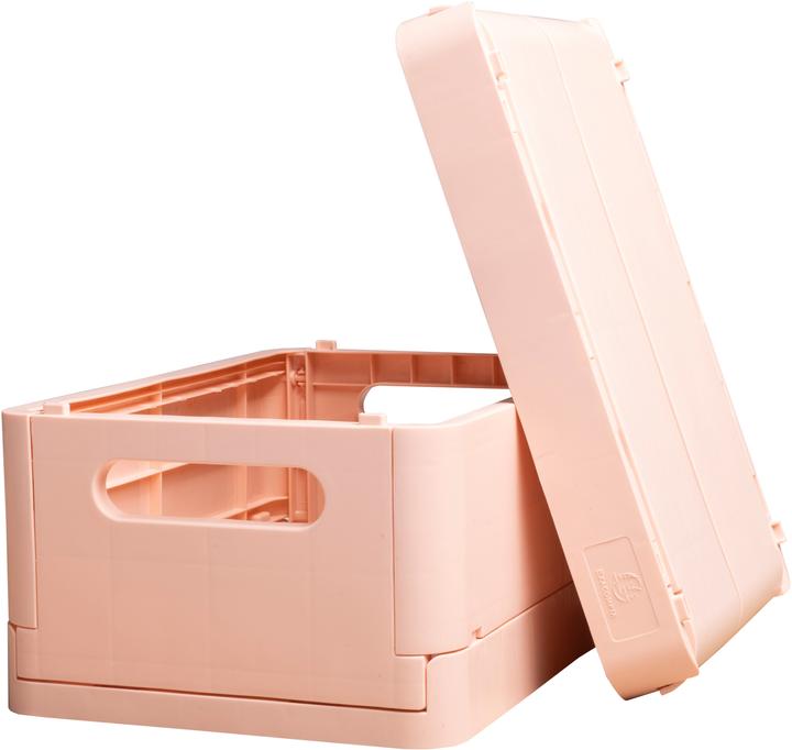 Actual product image Exacompta Boîte pliable The Smart Case midi Skandi - Nude (1.44 l)