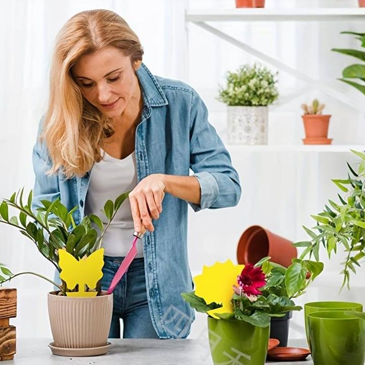 Actual product image König Design Flypaper yellow boards (20 pieces)