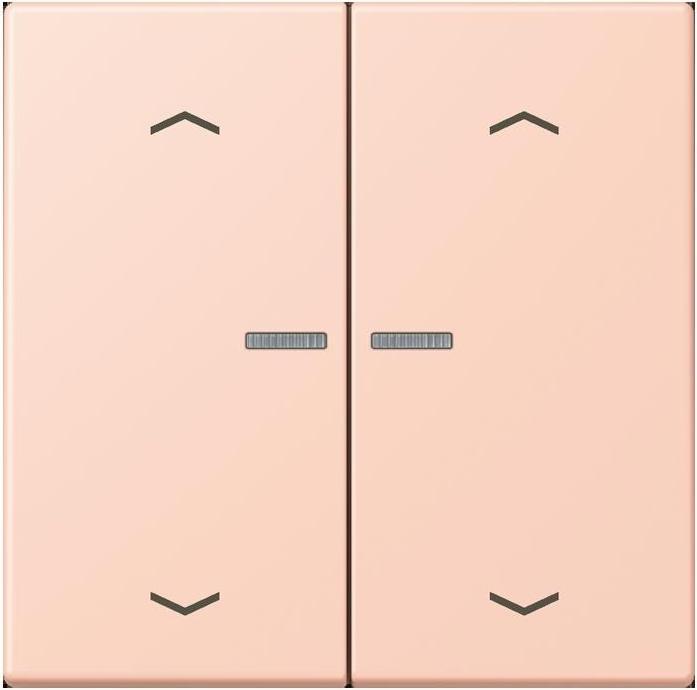 Actual product image JUNG BTLC17102P234 HOME push button