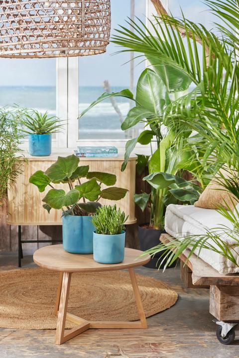 Produktbild Elho The Ocean Collection (14 x 13 cm)