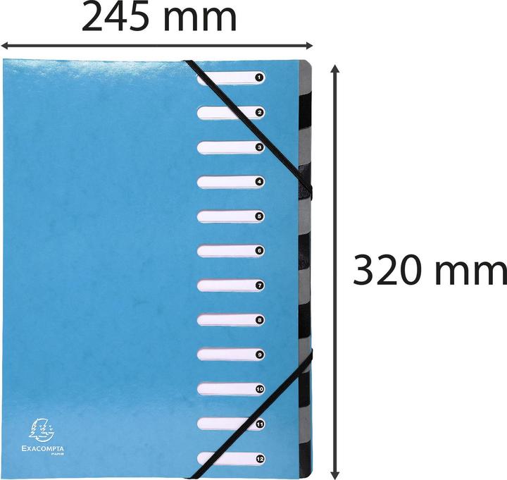 Actual product image Exacompta Folder Iderama (A4, 1x)