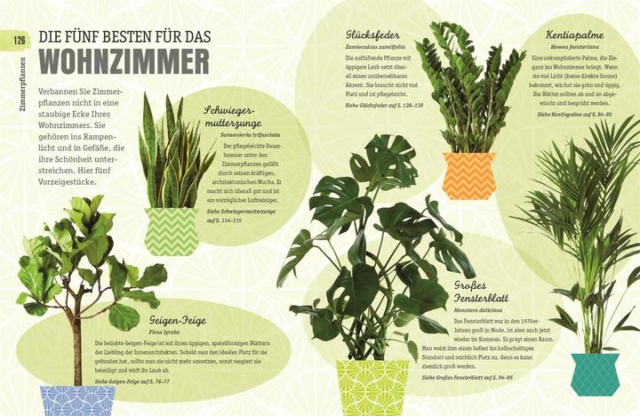 Produktbild So überleben Zimmerpflanzen garantiert (Deutsch, Veronica Peerless, 2018)