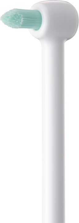 Produktbild Panasonic WEW0984 (Mundduschenaufsätze)