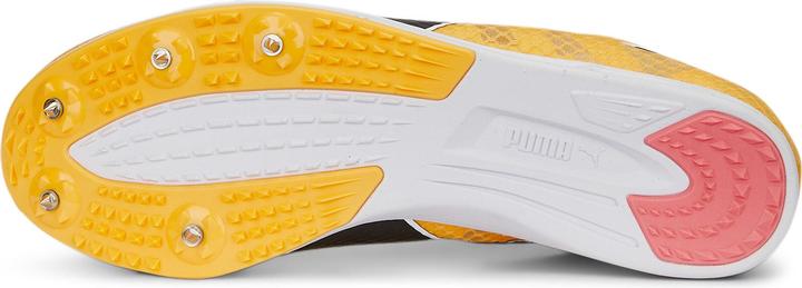 Produktbild Puma evoSPEED Distance 11 (46)