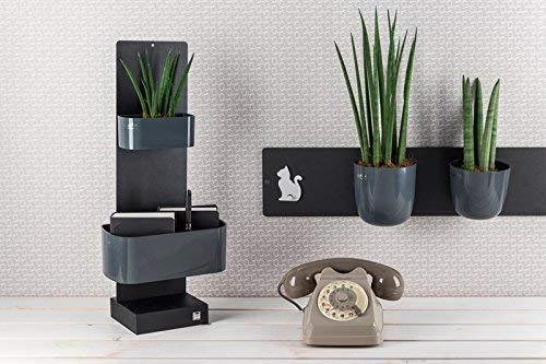 Image du produit Kalamitica Au travers de