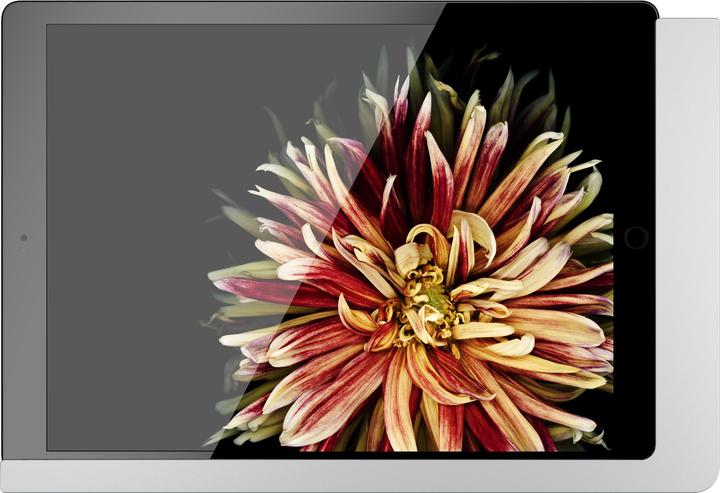 Actual product image Viveroo 510150PD iPad wall mount silver lacquered