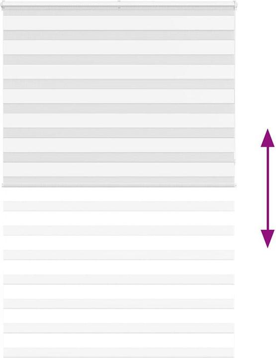 Produktbild vidaXL Zebra-Jalousie (145 x 230 cm)