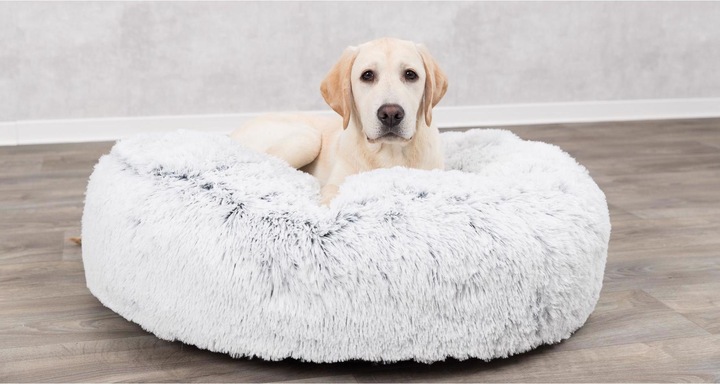 Image du produit Trixie Harvey (Chien)