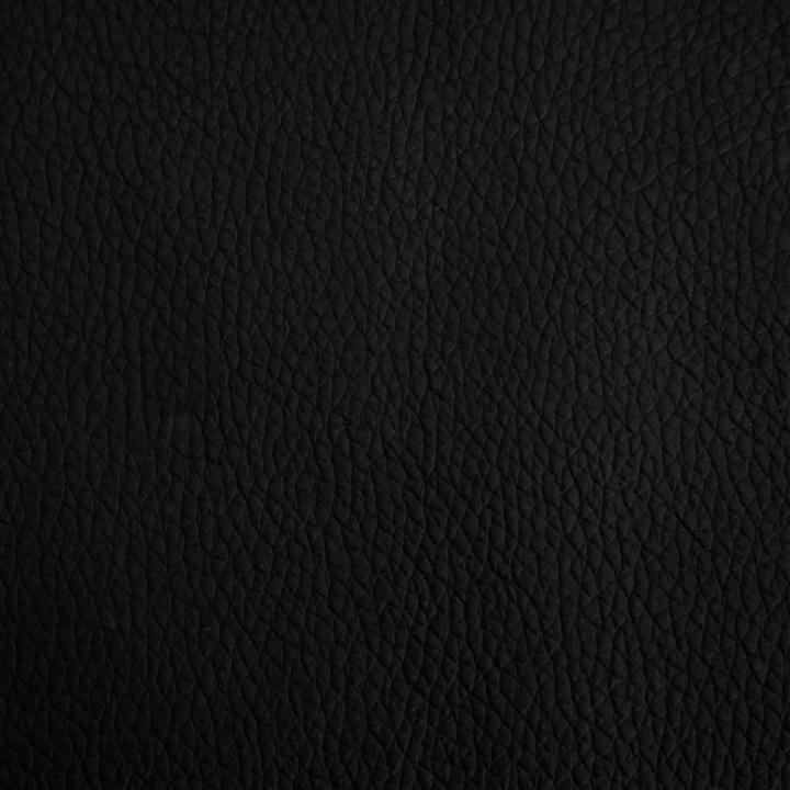 Image du produit vidaXL Adrien (Chien)