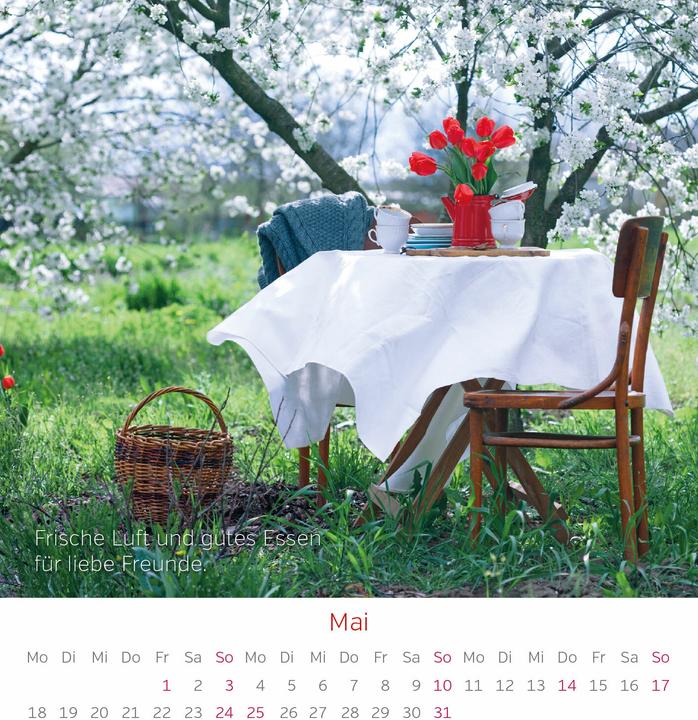 Actual product image Gute Laune Kalender 2026