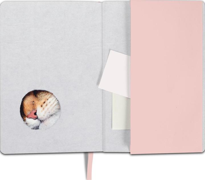 Actual product image Notebook A5 dotted adventure begin (A5, Checked, Hardcover)
