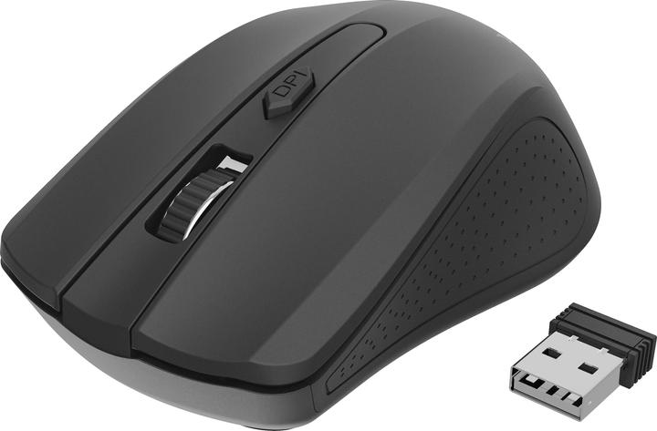 Mouse
