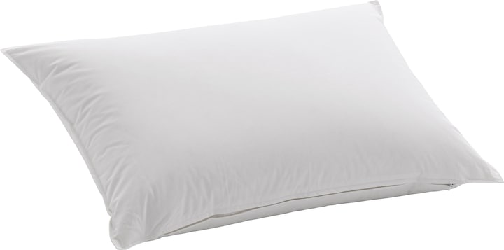 Immagine prodotto Dauny Capa Fibre (50 x 70 cm)
