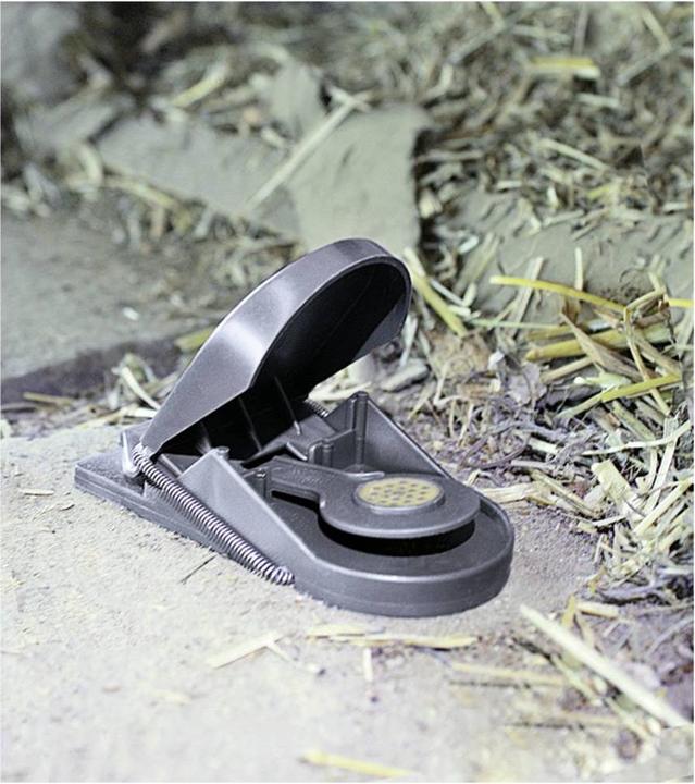 Actual product image Swissinno SuperCat mousetrap, set of 3 x 2