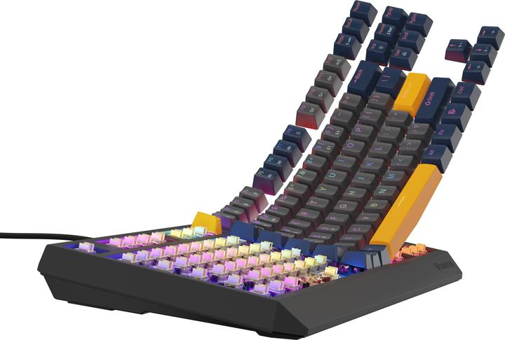 Actual product image Genesis herní klávesnice THOR 230/TKL/RGB/Outemu Panda/Drátová USB/US layout/Naval Blue Negative (US, Cable)