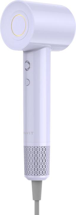 Viola