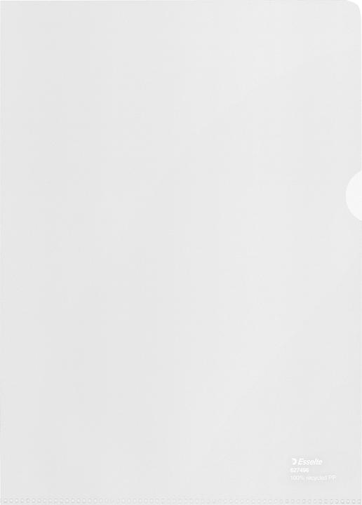 Produktbild Leitz Sichthülle 100% recycelt A4 (A4, 100x)