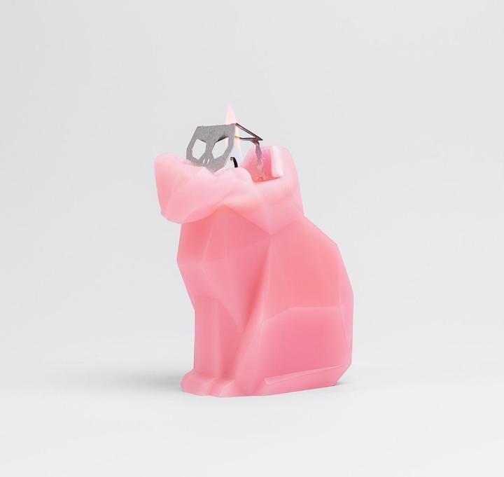 Actual product image 54Celsius PyroPet Kisa (1 pcs.)