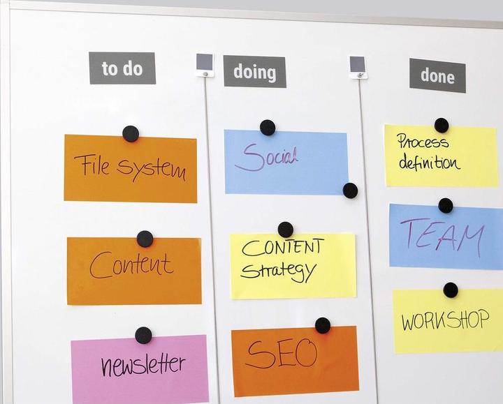 Actual product image Sigel Magnets (10 x)