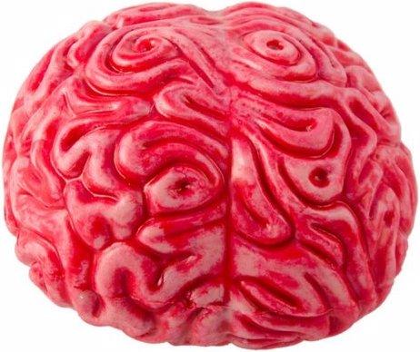 Image du produit Chaks Cerveau (1 pcs)