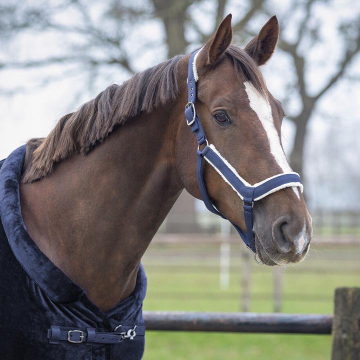 Actual product image Qhp Sensisoft