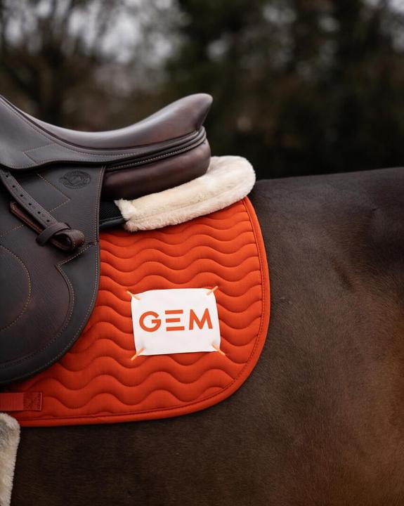 Actual product image GEM Touc Touc Obstacle