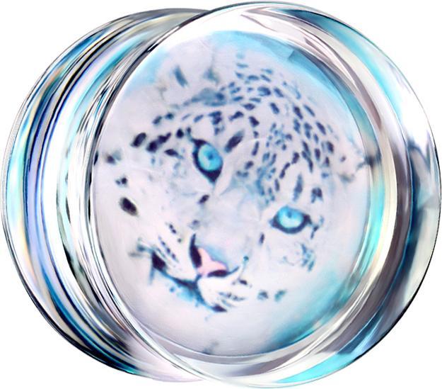 Actual product image Star Piercing Flared plug transparent with cheetah (Plastic, without brass)