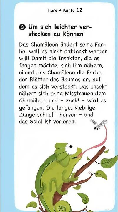 Produktbild Das Warum Quiz (Deutsch, 2 - 5 Spieler)