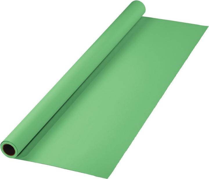 Hama Hintergrund, Karton, 2,75 x 11 m, Greenscreen-geeignet, Minzgrün (1100 cm, 275 cm)