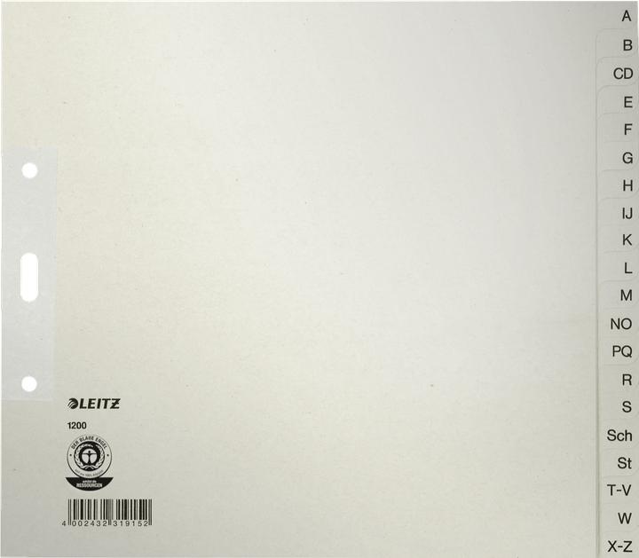 Actual product image Leitz 12003085 Directory/index