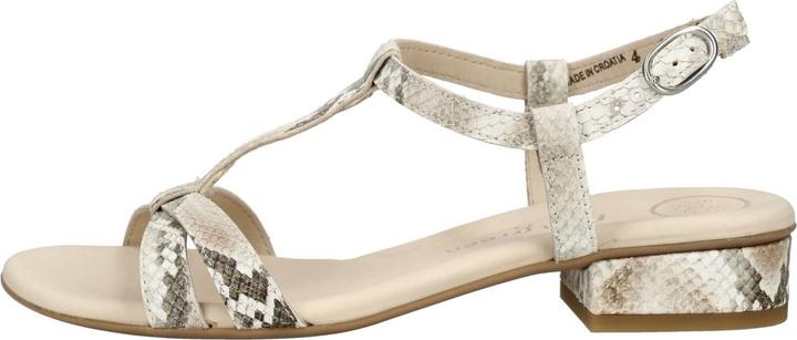 Beige, Boa Antic Biscuit