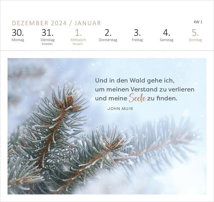 Actual product image Wald und wunderbar (17 x 17 cm, Soft cover, German)