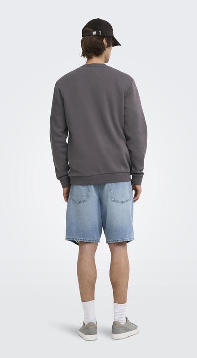 Actual product image Only & Sons Onsceres Crew Neck Noos (S)