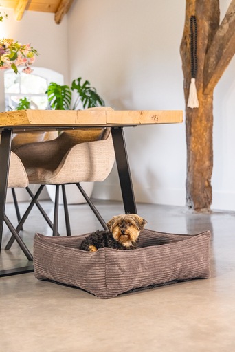 Actual product image Designed by Lotte Ribbed (Dog)
