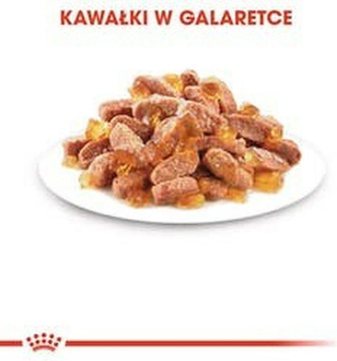 Actual product image Royal Canin FHN Kitten Instinctive (Junior, 12 pcs., 1020 g)