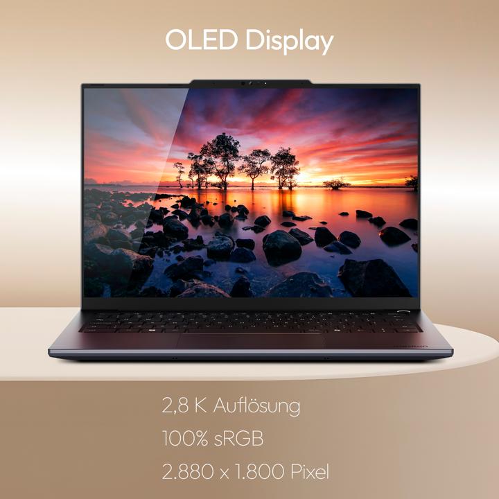 Immagine prodotto Medion Signium 14 S1 OLED (14", 512 GB, 16 GB, DE, Intel Core 5 120U)