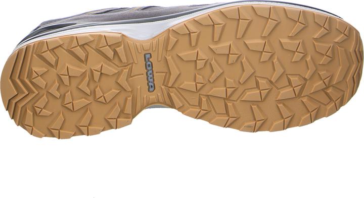 Actual product image Lowa Innox Evo II GTX (41.5)