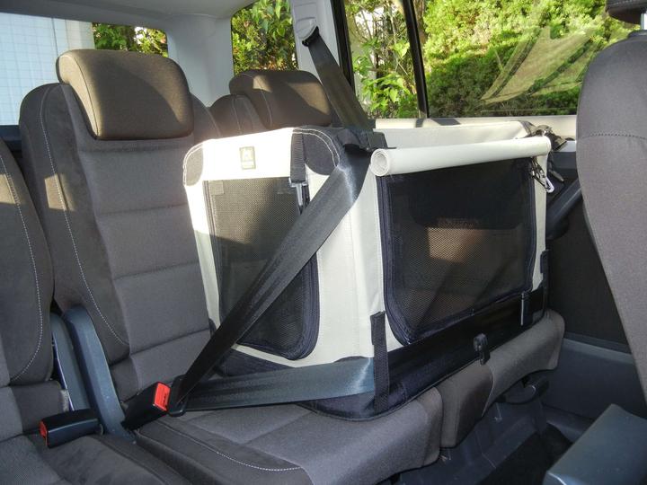 Actual product image Maelson Dog / transport box (Dog, Foldable, Washable)