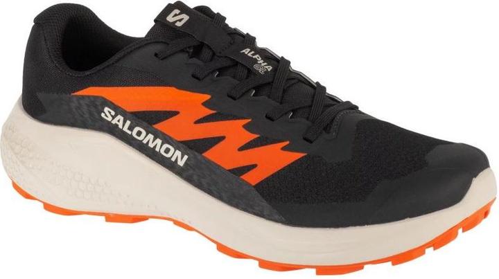 Produktbild Salomon Alphaglide Laufschuhe (46)