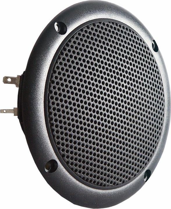 Visaton Full range loudspeaker FR 10 WP